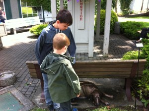 Hey look! What's that?