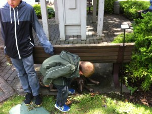 Oh, it's a dog. Made out of metal. It has shiny parts. First, I will pet it.