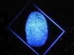 finger print