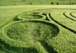 crop circles