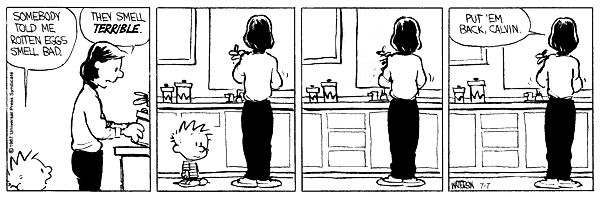 Calvin and Hobbs. Calvin knows something about bad smells